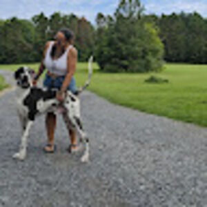 Meet your Posher, Jackie